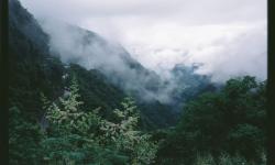 Featured image of post Yet another start